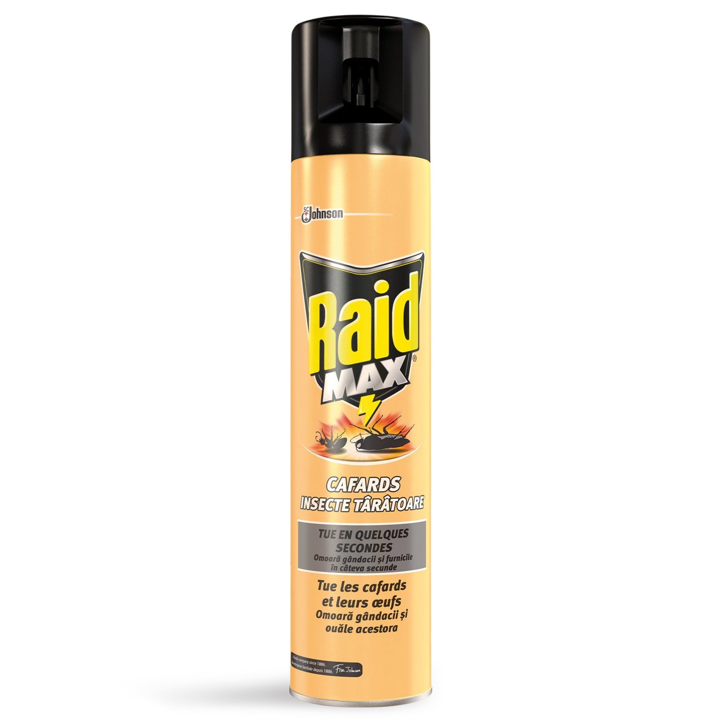 Spray gândaci și furnici Raid Max 300ml