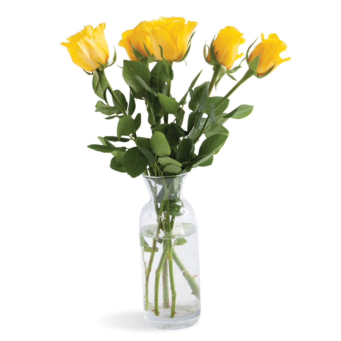 Buchet de trandafiri 5 fire, per buchet, calitatea I