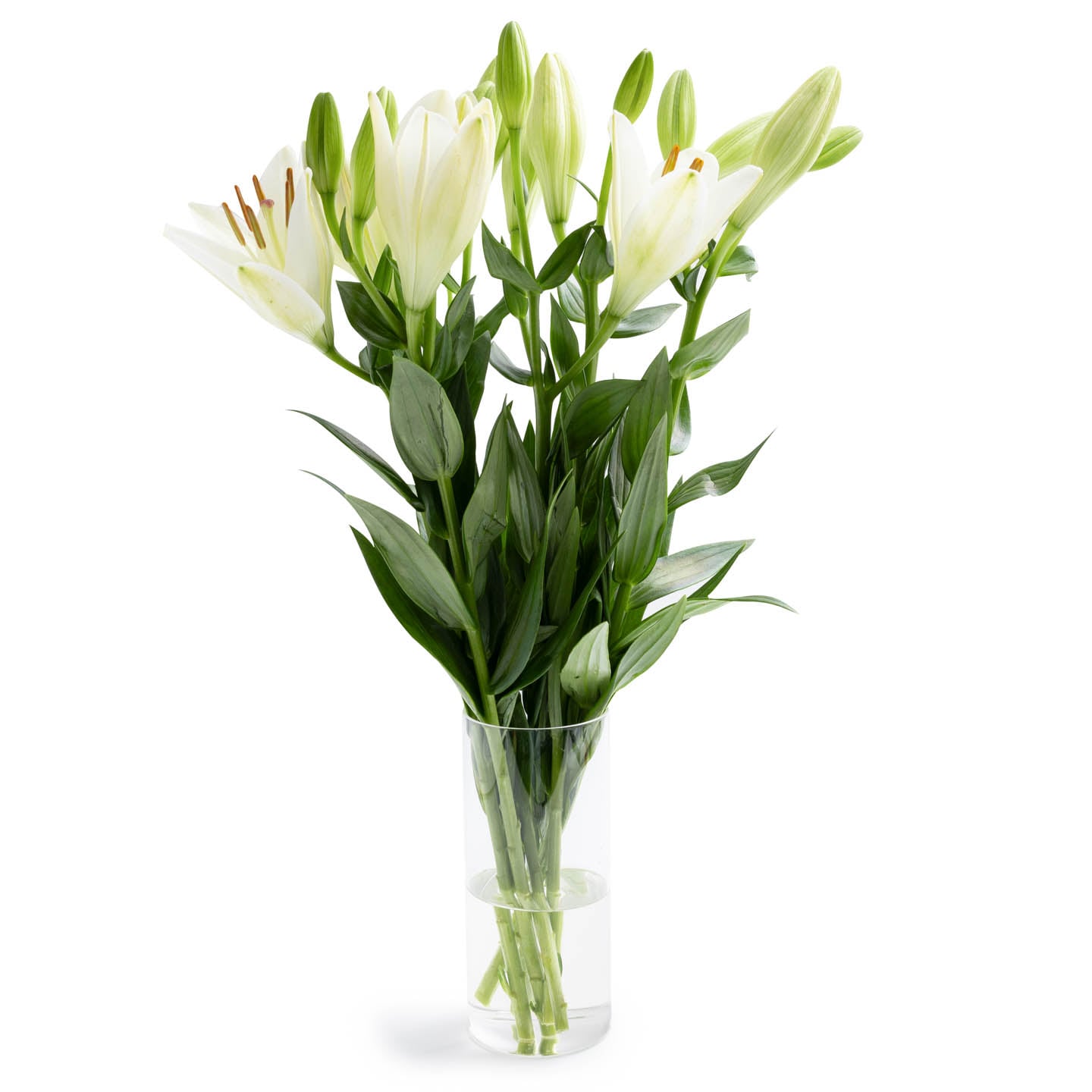 Buchet de crini 3 fire, calitatea I