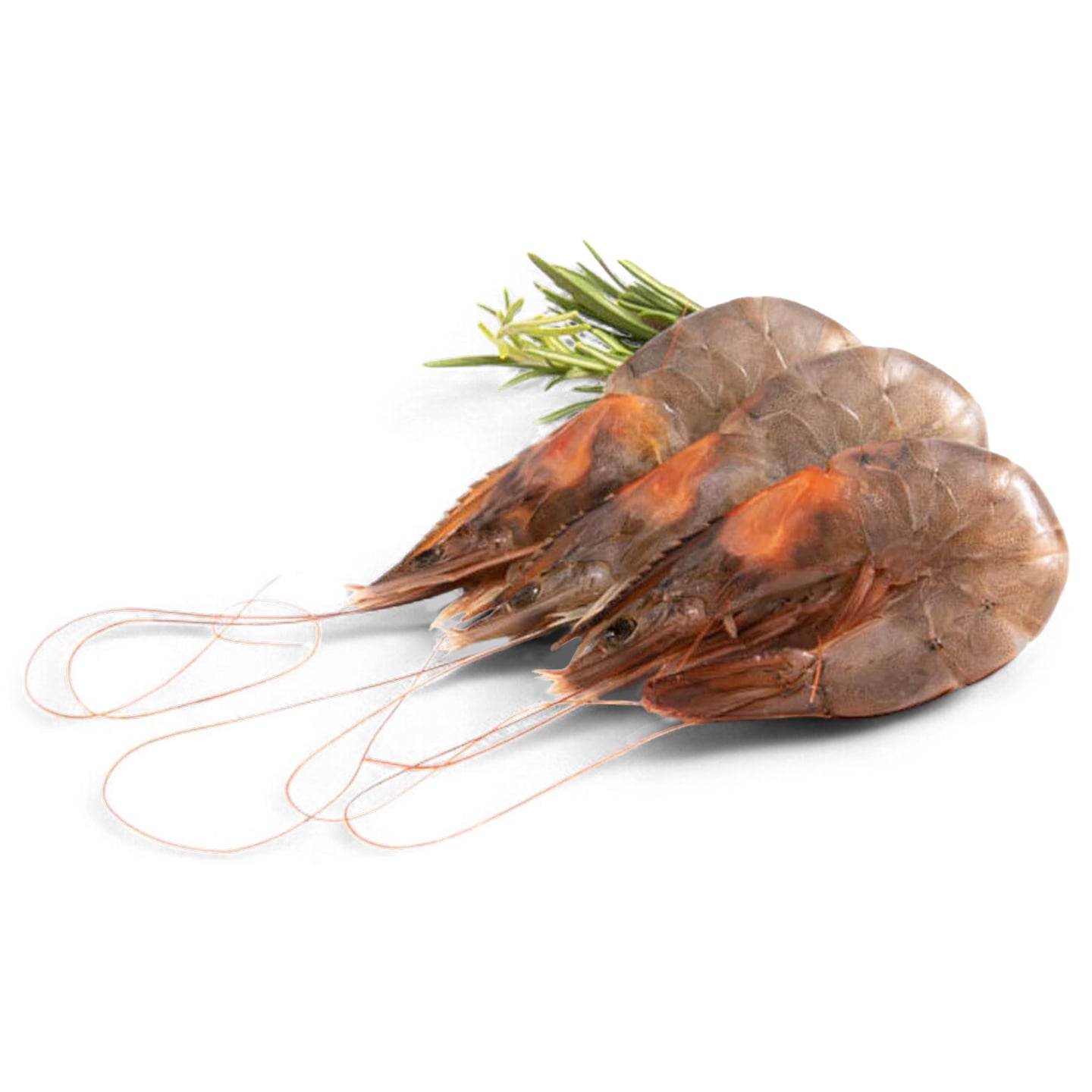Creveți cruzi calibru 40/50g per 100g