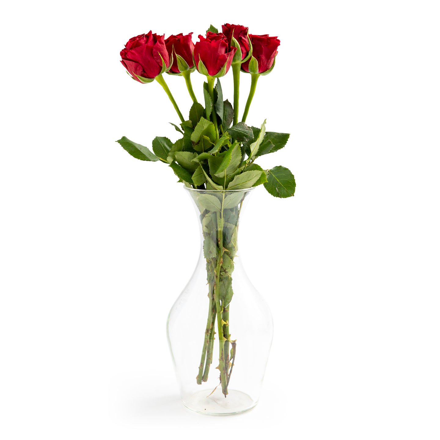 Buchet de trandafiri 5 fire, calitatea I