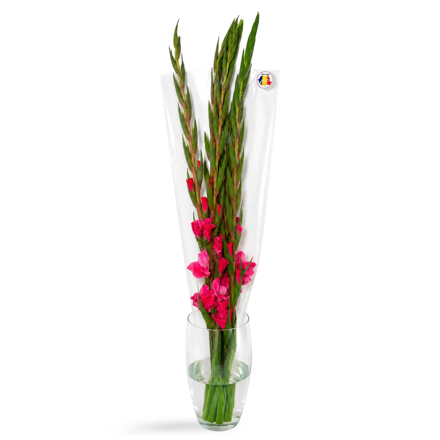 Buchet gladiole 5 fire, calitatea I