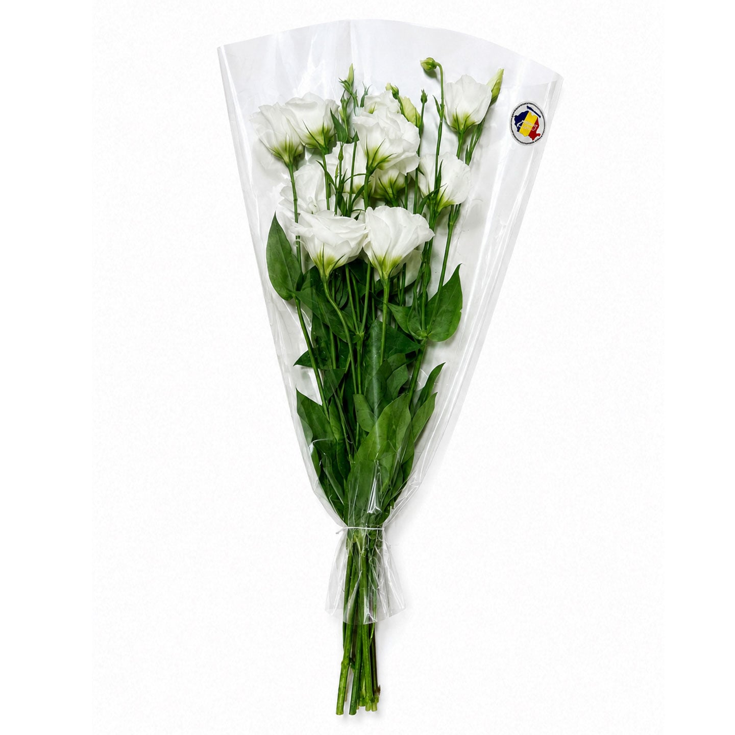 Buchete Lisianthus 5 fire, calitatea I 