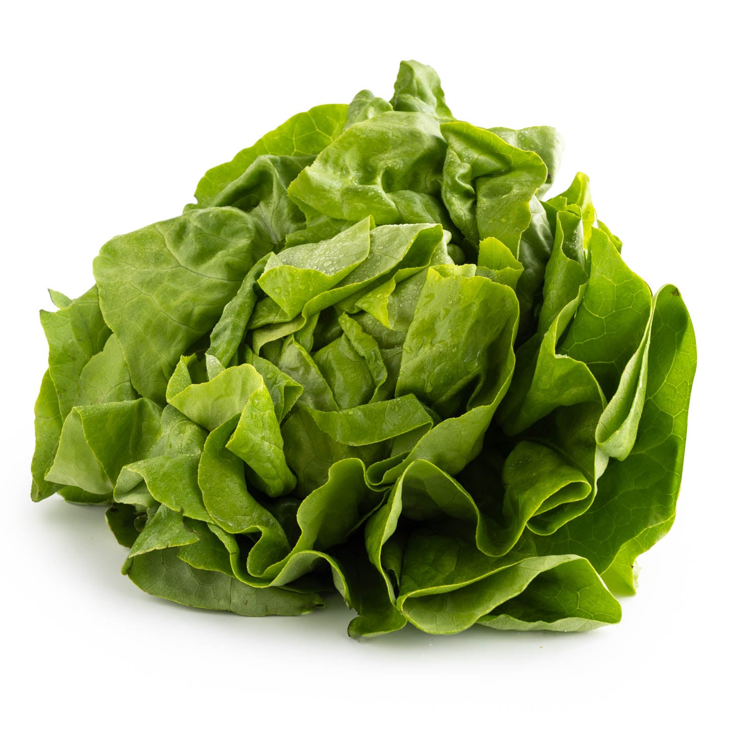 Salată verde per buc., calitatea I
