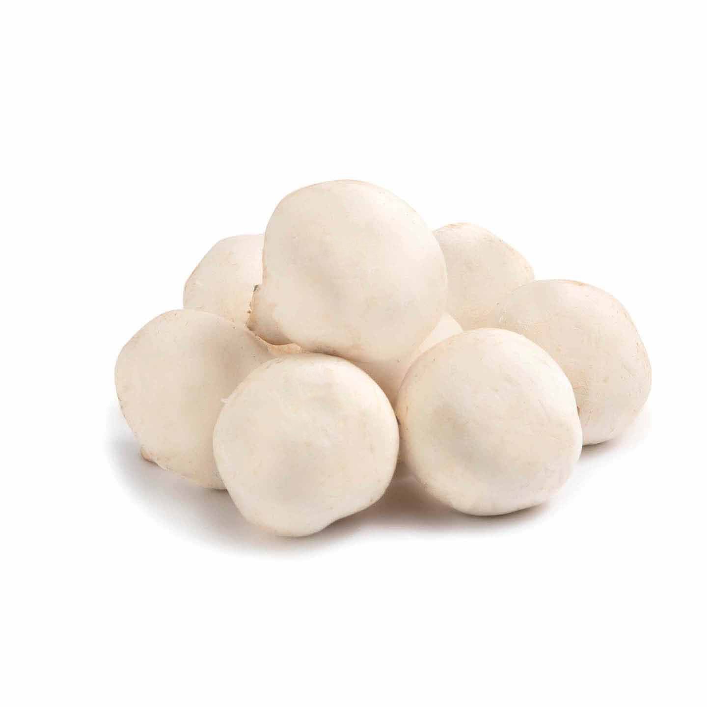Ciuperci Champignon per kg, calitatea I